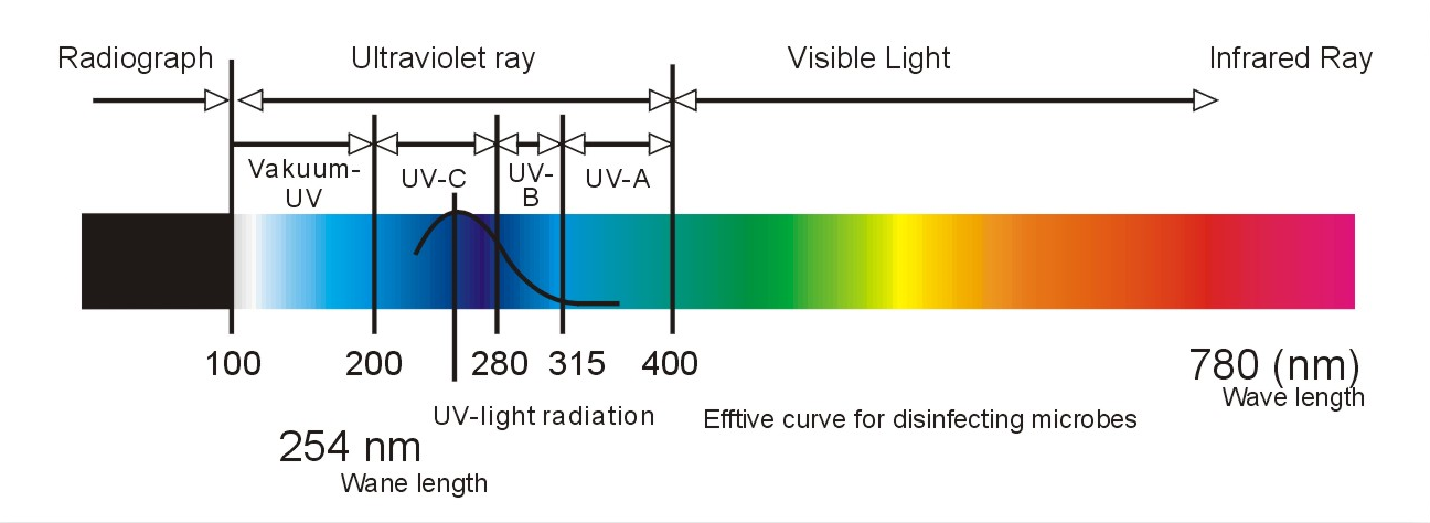 紫外線殺菌燈