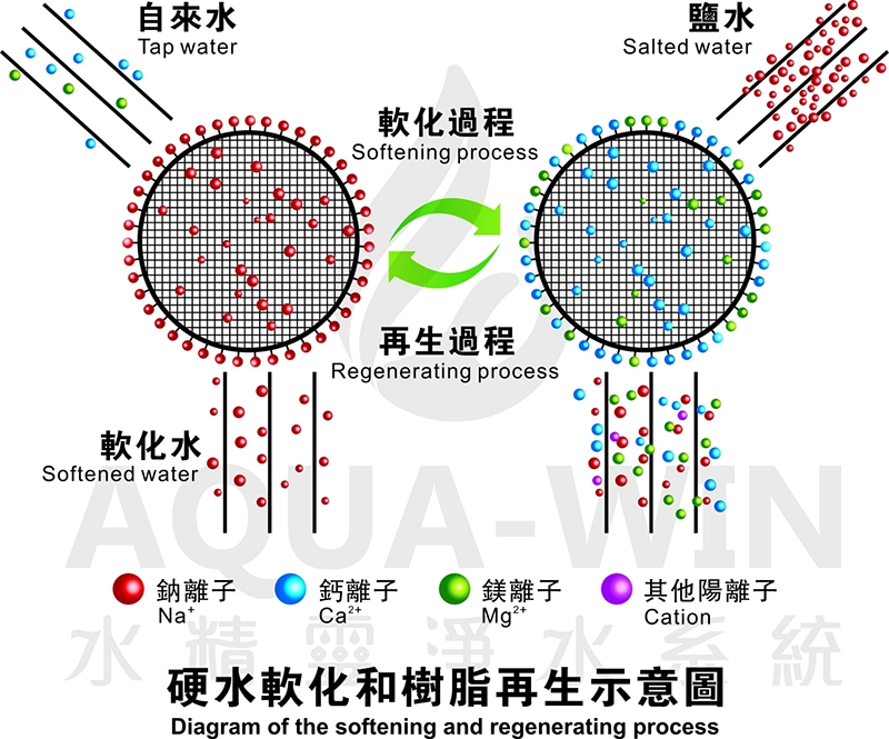 軟化過程解說