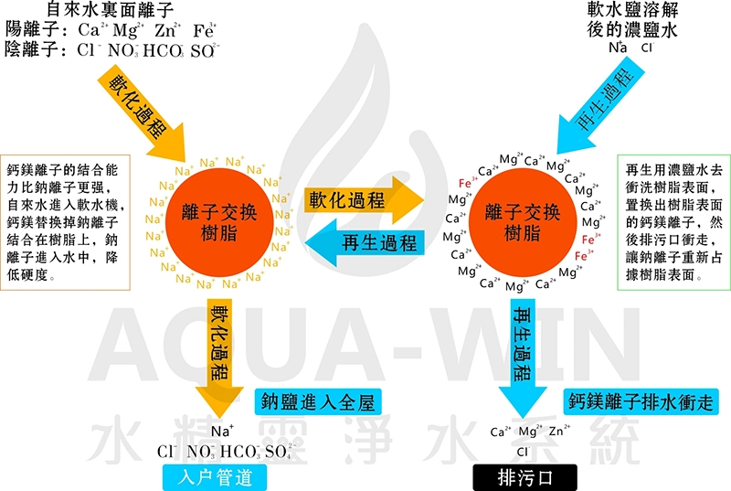 離子交換樹脂作用為何？