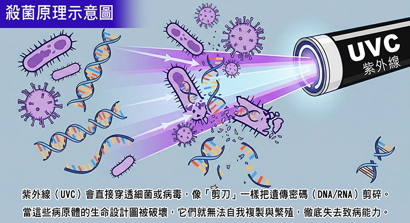 UVC殺菌原理