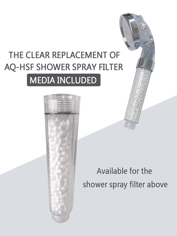 Handheld Shower Filter